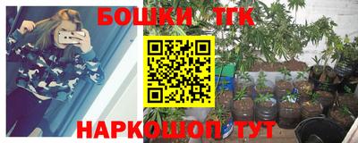 мдпв Пенза