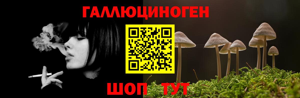 Ухта  Галлюциногенные грибы прущие грибы  Вход с VPN 
